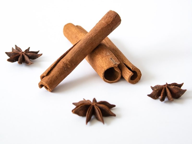 brown wooden stick with white background